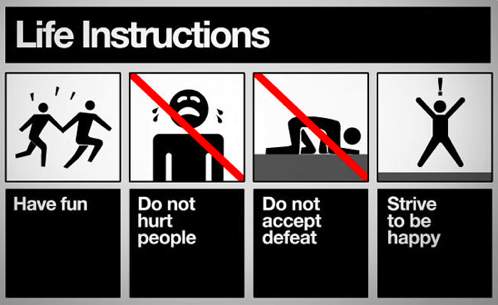 life_instructions.png